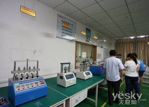 探科技奥秘，揭毒蜂面纱——硕美科粉丝工厂长春科技探营纪实