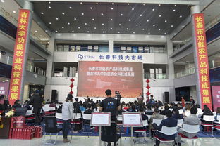 长春国投