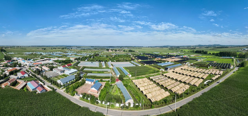 长春市现代菌物产业科技成果转化示范基地揭牌，首届中国（长春）灵芝孢子粉采收节盛大启幕