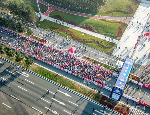 长春新区 一场半马醉金秋，科技赋能展新姿