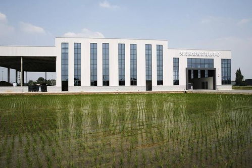 天府粮心 育秧从田间搬到厂里，秧苗从高科技‘育婴室’出芽长春科技